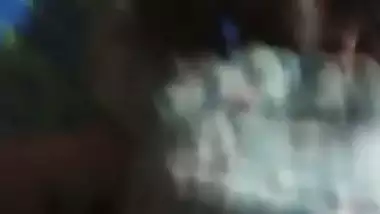 Quick doggy style sex of a big-ass lady